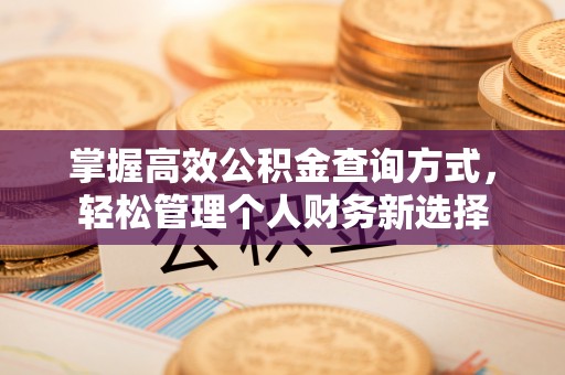 福兴掌握高效公积金查询方式，轻松管理个人财务新选择