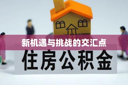 福兴新机遇与挑战的交汇点