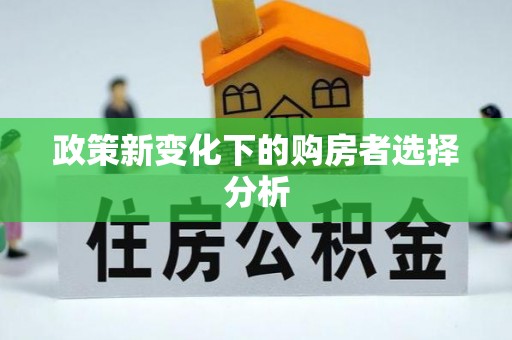 福兴政策新变化下的购房者选择分析