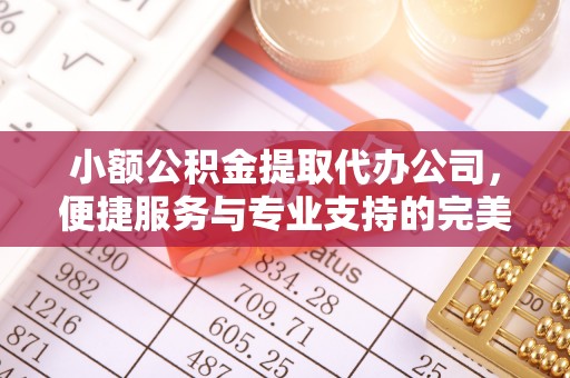 福兴小额公积金提取代办公司，便捷服务与专业支持的完美结合