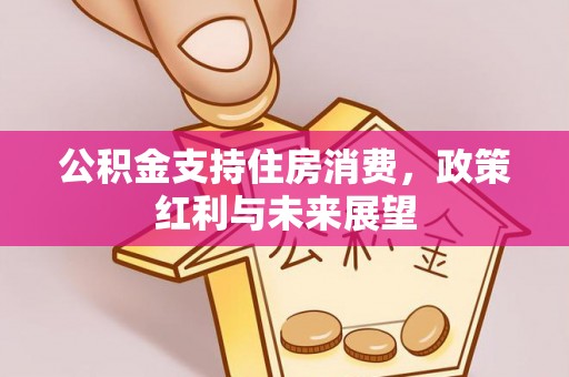 福兴公积金支持住房消费，政策红利与未来展望