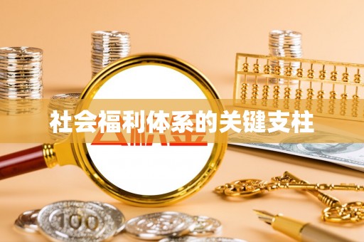 福兴社会福利体系的关键支柱