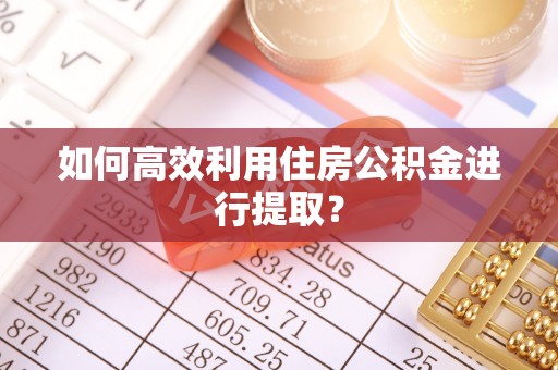 福兴如何高效利用住房公积金进行提取？