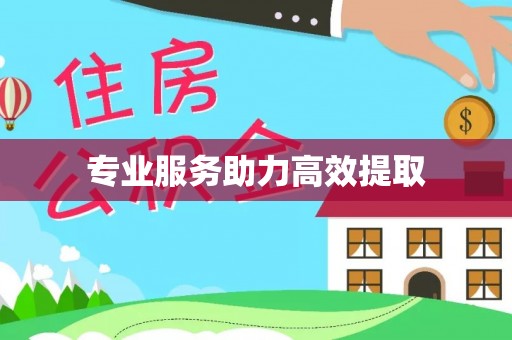 福兴专业服务助力高效提取