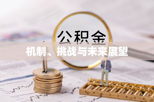福兴机制、挑战与未来展望