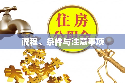 福兴流程、条件与注意事项