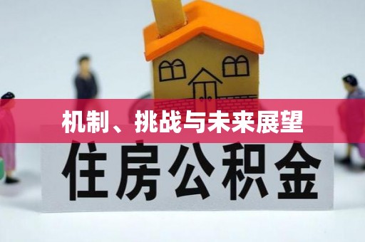 福兴机制、挑战与未来展望